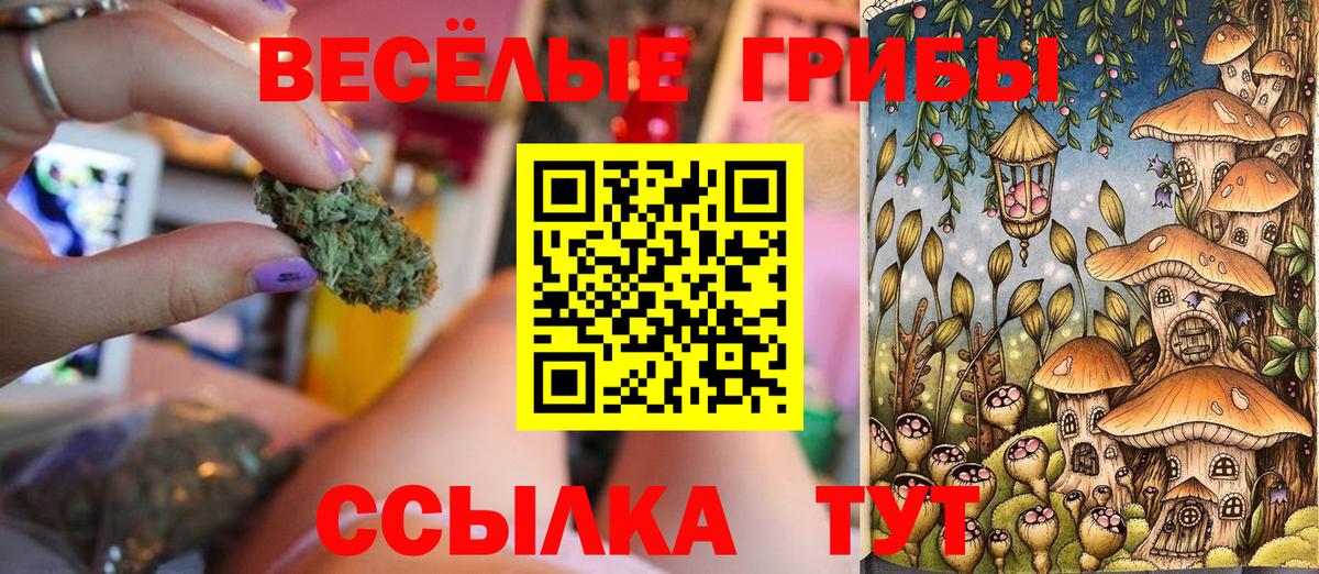 наркота  Псилоцибиновые грибы прущие грибы  Вход с VPN  Ипатово 